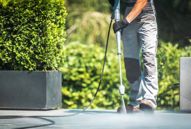 Best Animal Enclosure Cleaning  in King Cove, AK